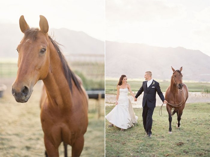 Лошадь на свадьбе
