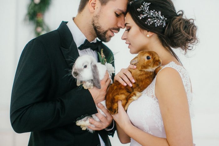 Свадебная фотосессия с кроликами