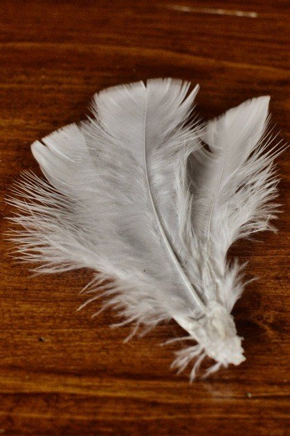 Соедините перья с помощью клея